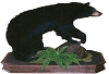 WALNUT PICTURED